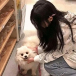 酷云游戏君临天下下载